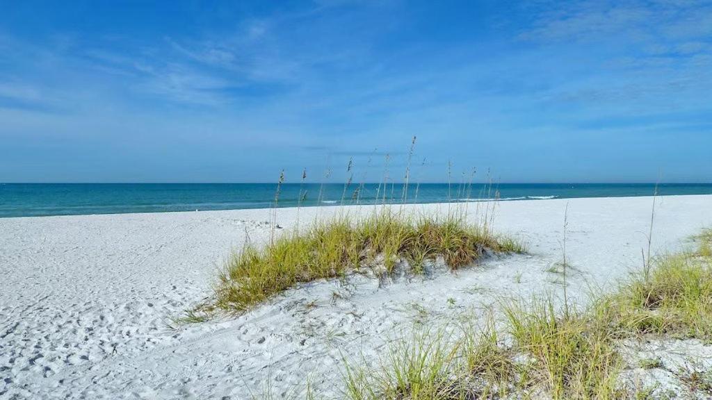 Beach Palms- Unit 102 Clearwater Beach Exterior foto